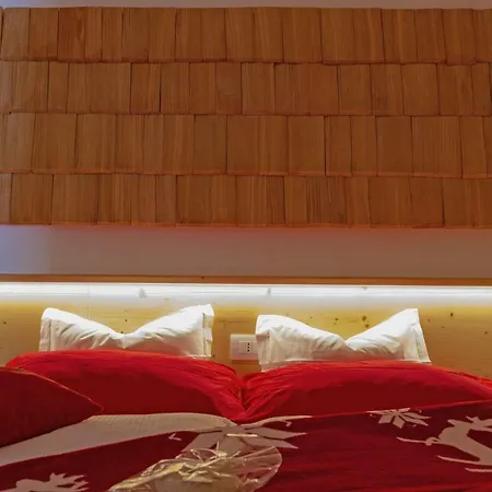 Bike Bed&Breakfast Mille Pini-3